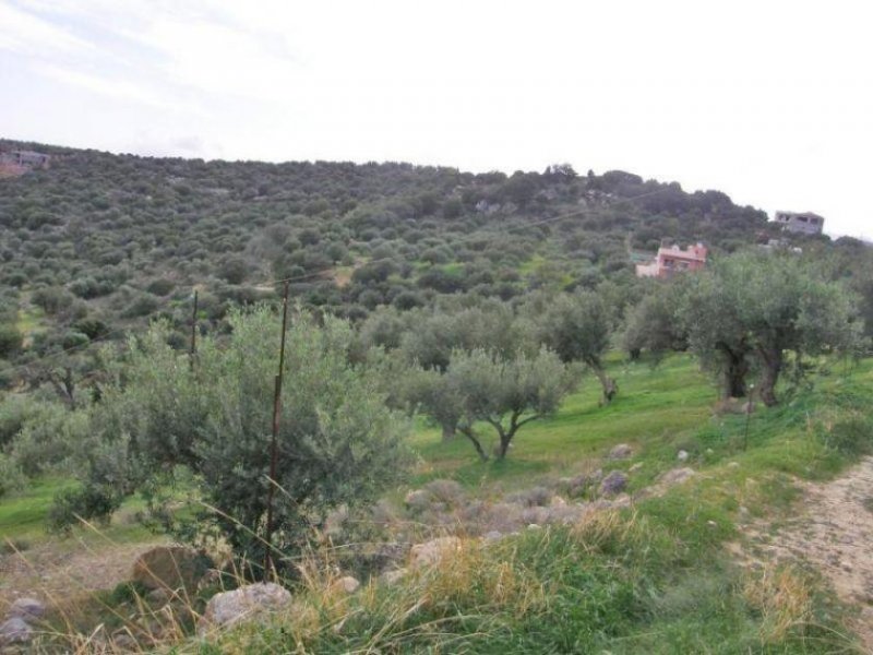 Agios Nikolaos 462 m² Bauland in der Gegend von Mardati mit uneingeschränktem Meerblick Grundstück kaufen